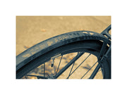 Speedrocker Front and Rear 28" Black