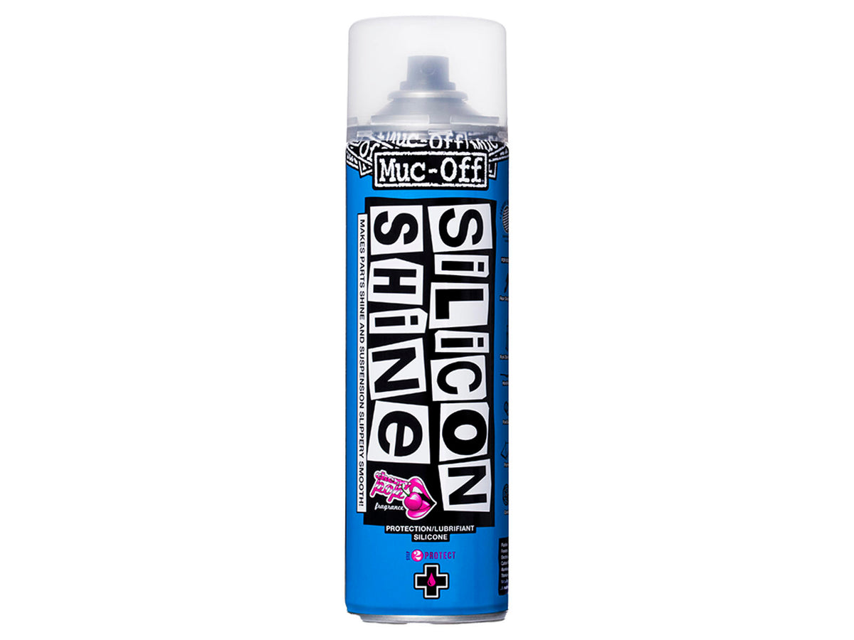 Silicon Shine