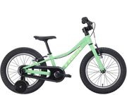 Precaliber 16